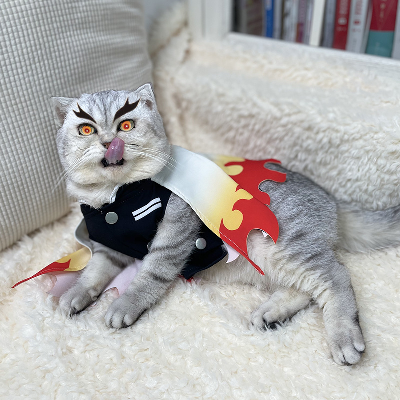 ชุดคอสเพลย์ปีศาจสังหารเสื้อผ้า - Cosplay Flame Prop บทวิจารณ์และราคา